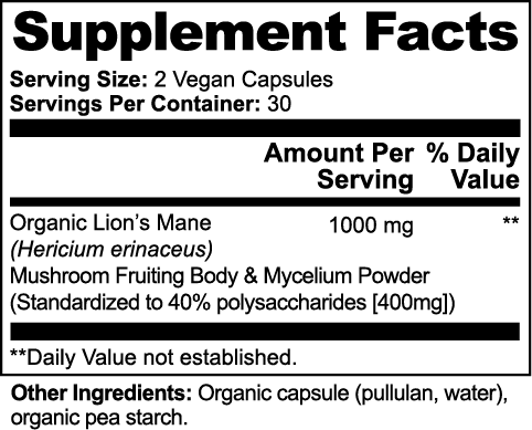 Lion’s Mane Brain Boost Supplement - Midas Luxe