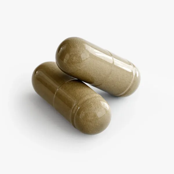 Ginkgo Biloba + Ginseng - Image 6