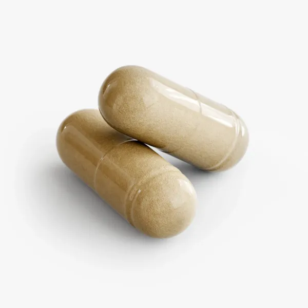 Moringa Pure - Image 3