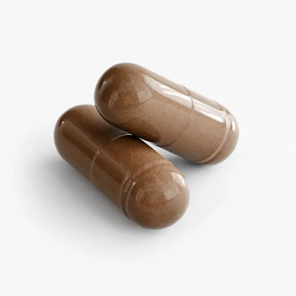 Prostate Support - Image 4